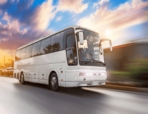 Driving Bus Royalty-Free Images, Stock Photos & Pictures | Shutterstock